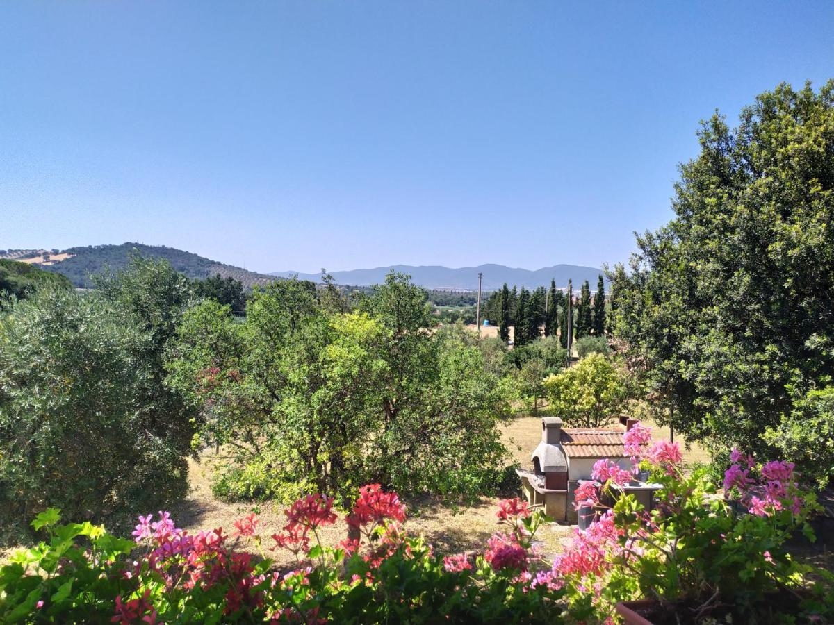Agriturismo San Giorgino Grosseto Luaran gambar