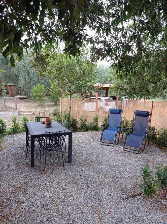 Agriturismo San Giorgino Grosseto Bilik gambar