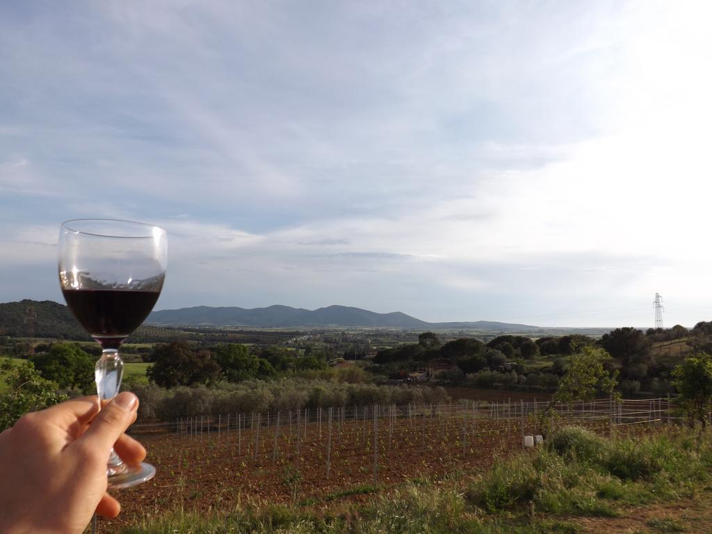 Agriturismo San Giorgino Grosseto Luaran gambar