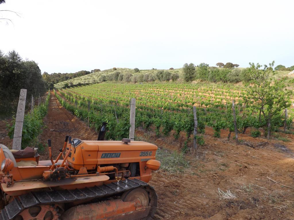 Agriturismo San Giorgino Grosseto Luaran gambar